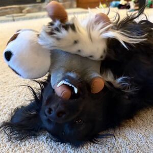 Adidas ended up re turning instead